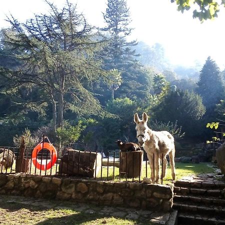 Quinta Do Castanheiro Hotel Sintra Eksteriør billede