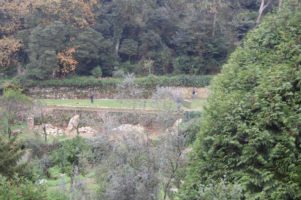 Quinta Do Castanheiro Hotel Sintra Eksteriør billede