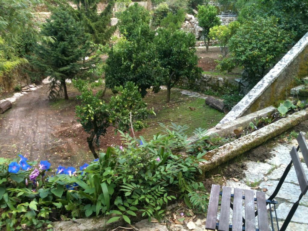 Quinta Do Castanheiro Hotel Sintra Eksteriør billede
