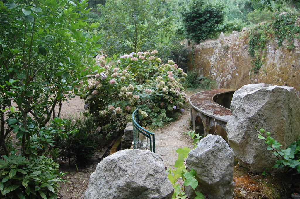 Quinta Do Castanheiro Hotel Sintra Eksteriør billede