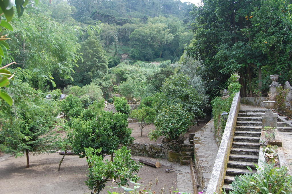 Quinta Do Castanheiro Hotel Sintra Eksteriør billede
