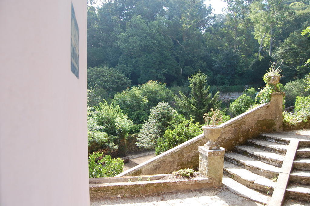 Quinta Do Castanheiro Hotel Sintra Eksteriør billede