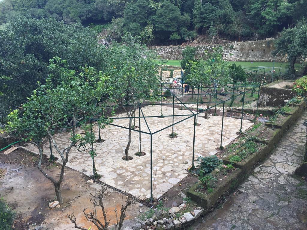 Quinta Do Castanheiro Hotel Sintra Eksteriør billede