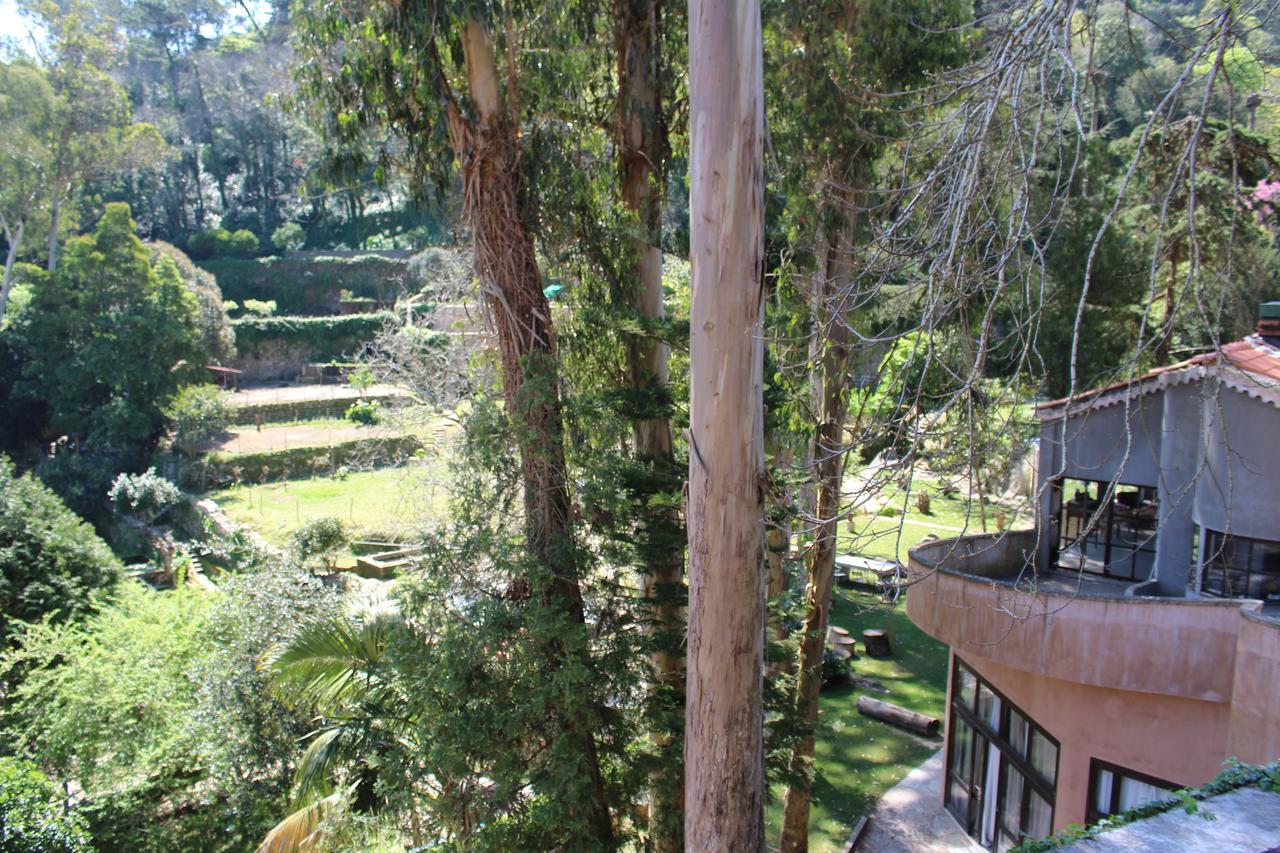 Quinta Do Castanheiro Hotel Sintra Eksteriør billede